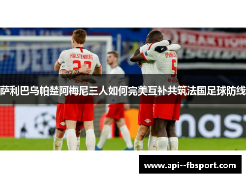 萨利巴乌帕楚阿梅尼三人如何完美互补共筑法国足球防线