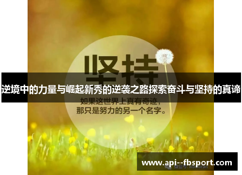逆境中的力量与崛起新秀的逆袭之路探索奋斗与坚持的真谛 逆境中的力量与崛起新秀的逆袭之路探索奋斗与坚持的真谛